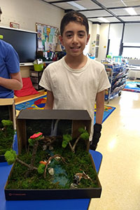 MS Gold team student created a rainforest diorama - 2