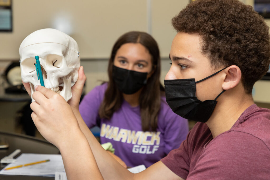 WVHS student examines skull in class